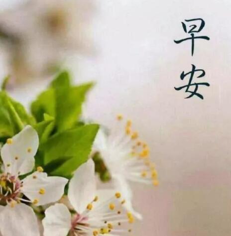 早上好的图片祝福语