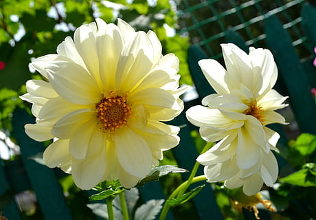 好听的情话文案短句不俗