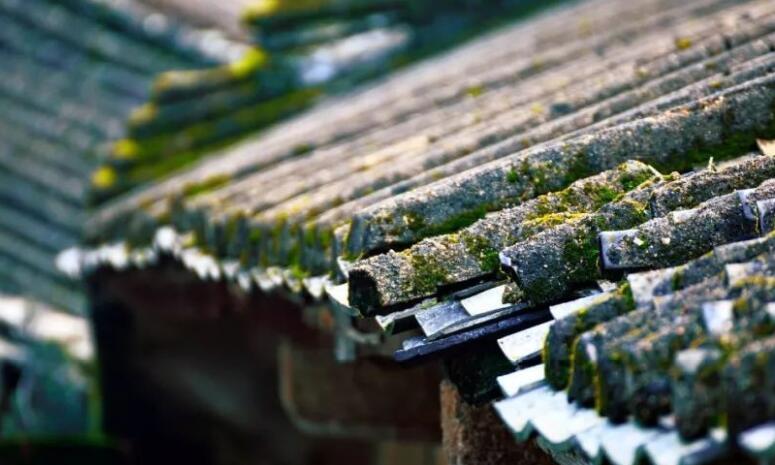 形容爱归平淡的名句文案