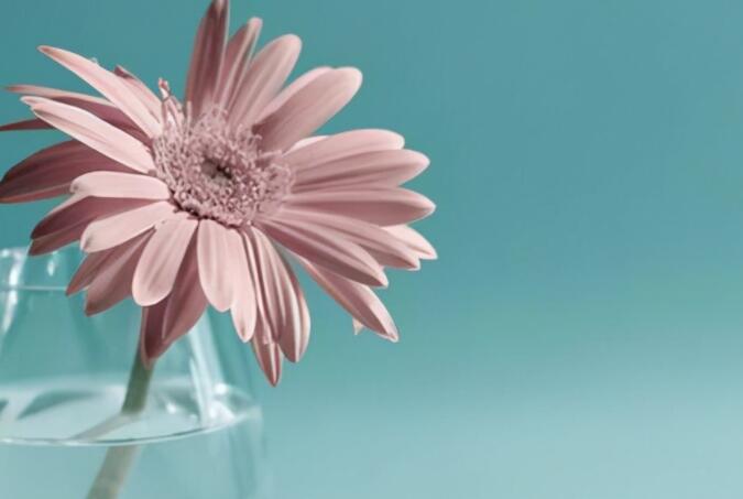 感情伤感的简短句子文案