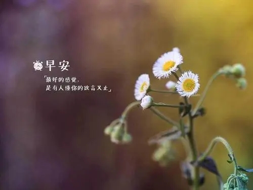 早安心语图片情感