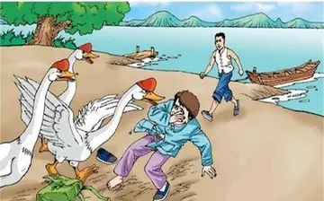 四年级作比较的句子文案大全