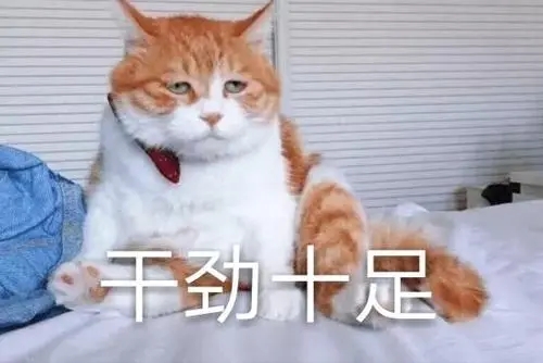 形容干劲十足的句子文案