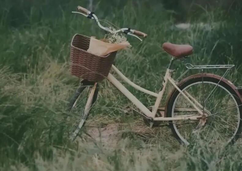 江忍对孟听的语录文案