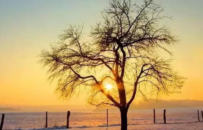 2024立冬的说说文案