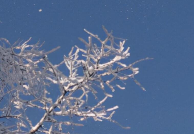 形容时间飞快的句子文案优美