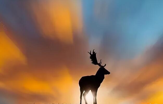 送给在拼搏的人一句话