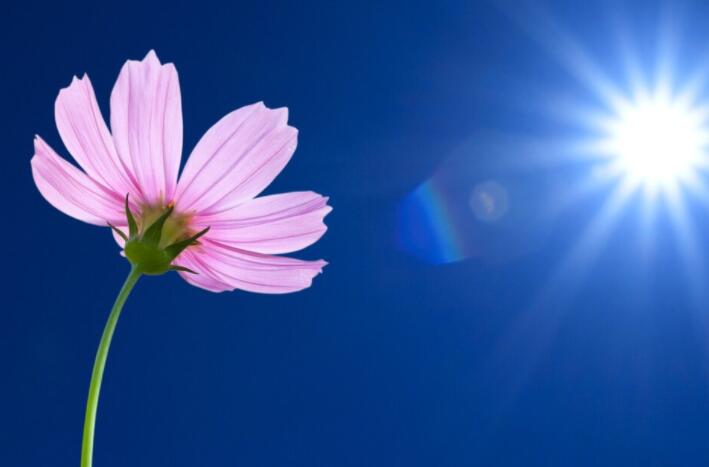 适合发早安的正能量简短句子文案