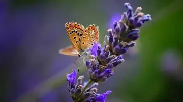 微信美句经典语录文案