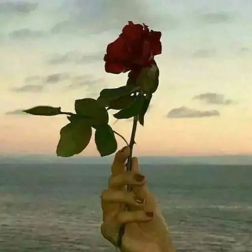 坚强而又心酸的句子文案