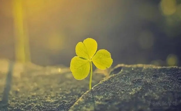 微信个性签名语句文案励志