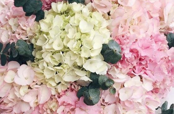 夫妻同甘共苦共患难的句子文案