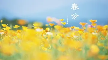 关于春分的文案