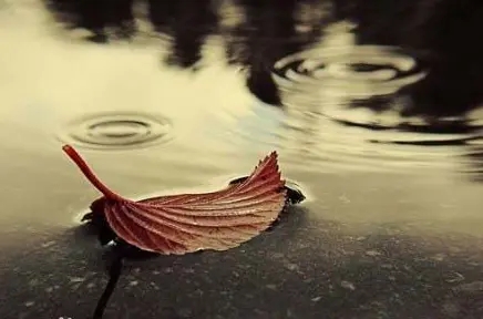 能表达心情惆怅的无奈的句子文案