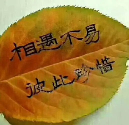 朋友认识一种缘分短句