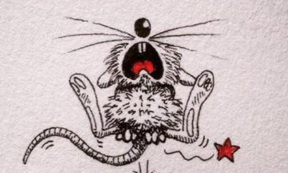 搞笑文案短句沙雕