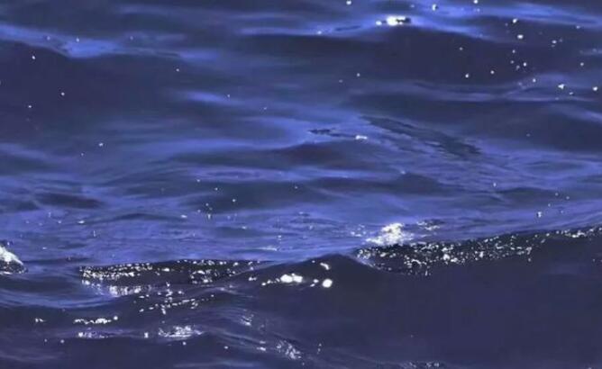 大海的句子文案心情短语