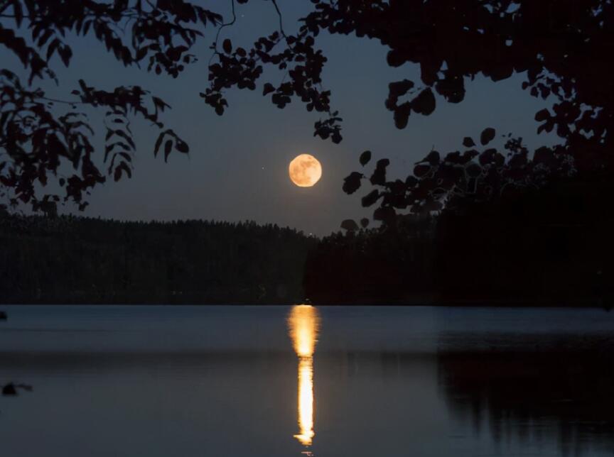 讽刺的话语有哪些