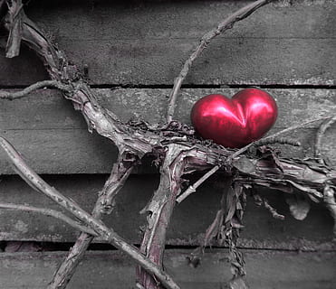 最心碎最伤心的句子文案