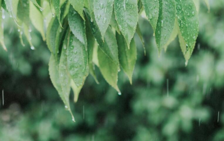 形容七月的诗句文案