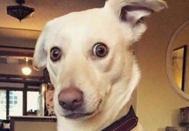 上火的幽默说说文案心情