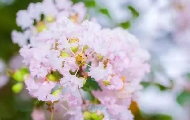 怼惹幽默句子文案