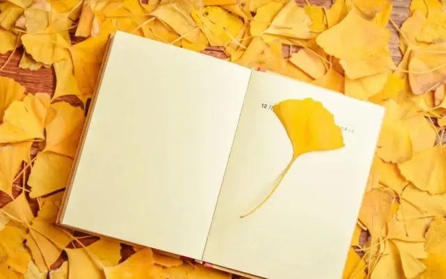 正话反说表示喜欢的句子文案