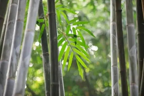 形容高处凉爽的诗句文案