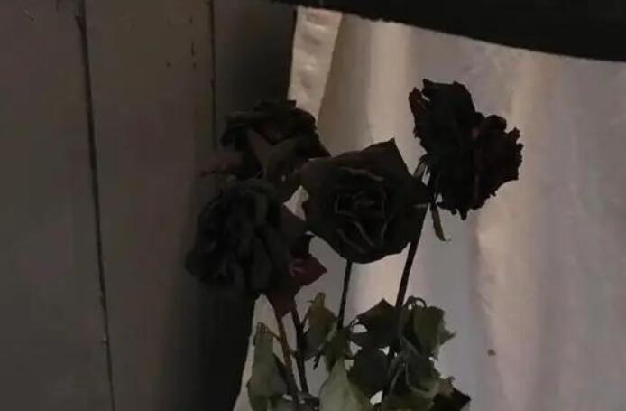 不想和你分开的句子文案