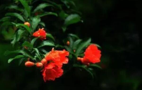 发早安朋友圈点赞最高的句子文案