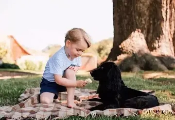 对人好不如对狗好的句子文案
