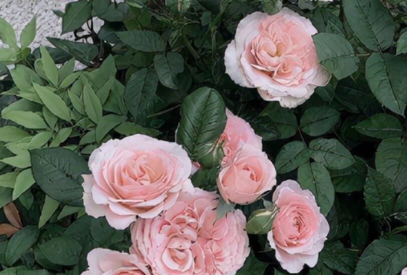 太相信别人失望的说说文案