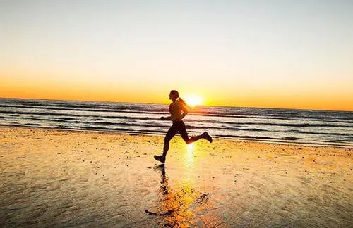 关于奋斗的好段摘抄