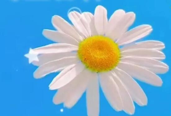 早安温馨句子文案