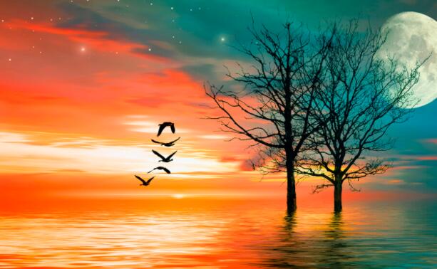 适合自己的干净暖心短句