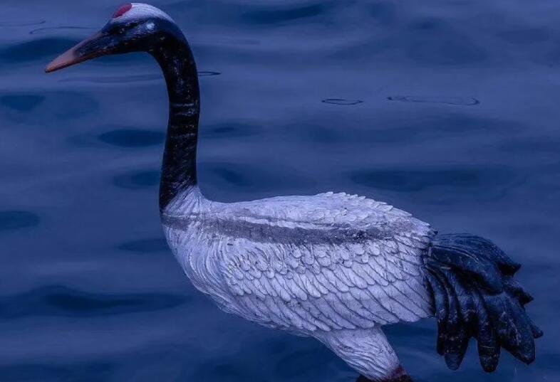 温柔浪漫的短文案