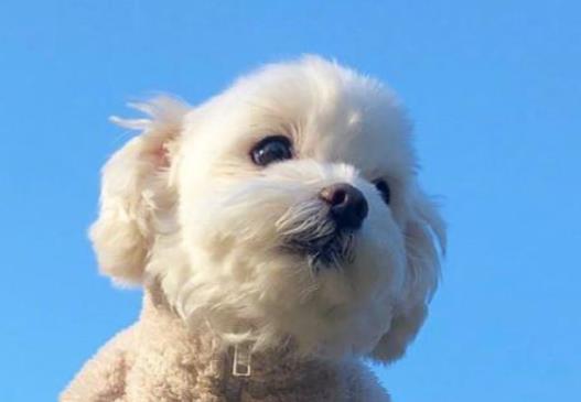 积极励志正能量的句子文案