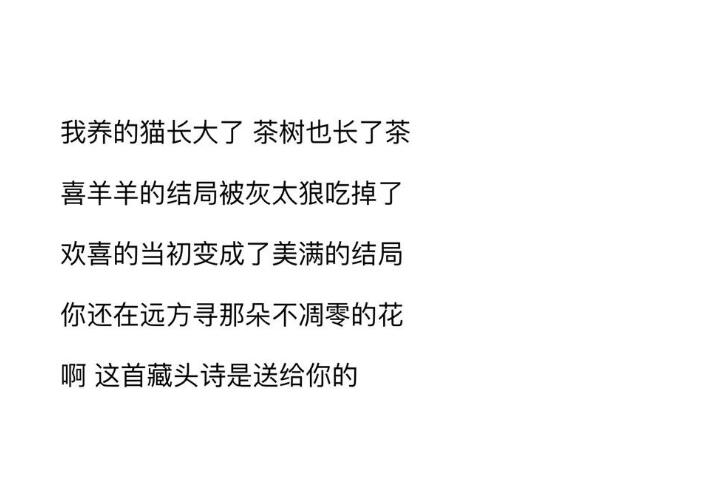 写给男朋友的藏头诗情话文案