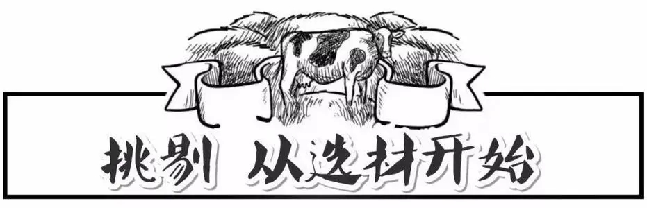 追求极致的名言警句