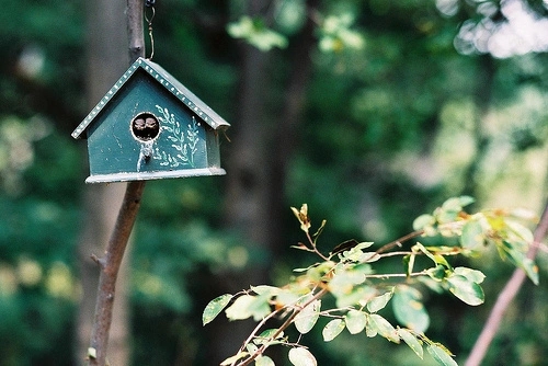 句子文案迷唯美的句子文案