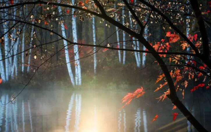 期待九月美好的诗句文案