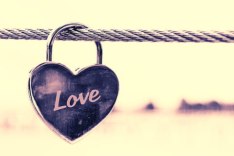 感谢情人的生日祝福句子文案