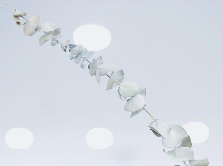 顶着烈日干活的句子文案