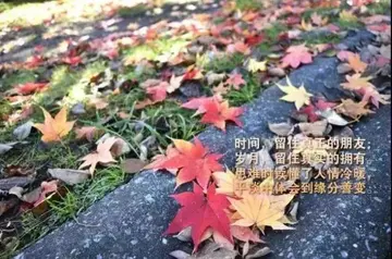 人生励志感悟的句子文案