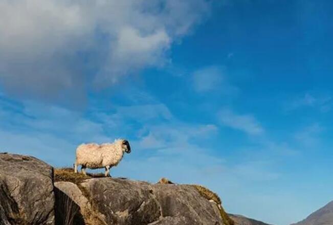 爆笑可爱的短句