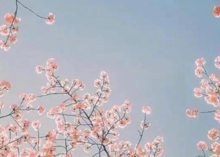 读书笔记摘抄大全