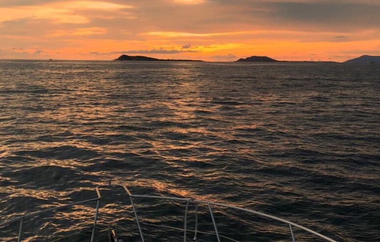 每日温暖语录文案