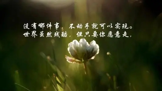 哲理句子文案简短精辟