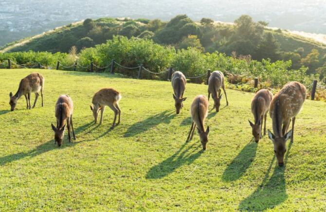 适合发说说的句子文案