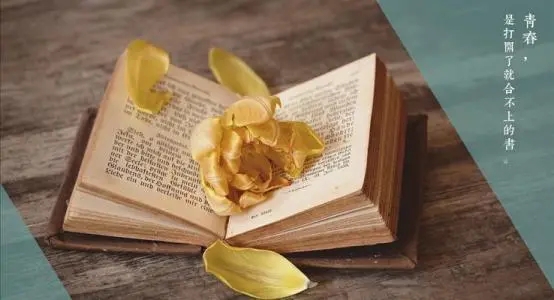 青春岁月的短句子文案